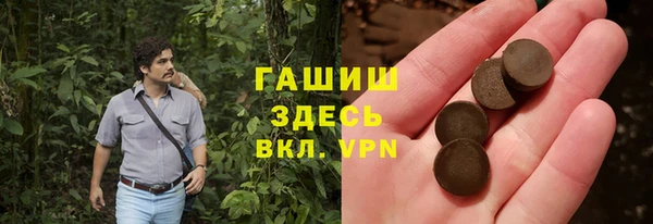 таблы Гусев