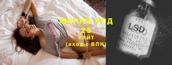 стаф Дмитровск