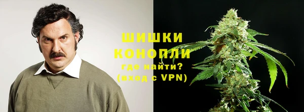 альфа пвп Гусиноозёрск