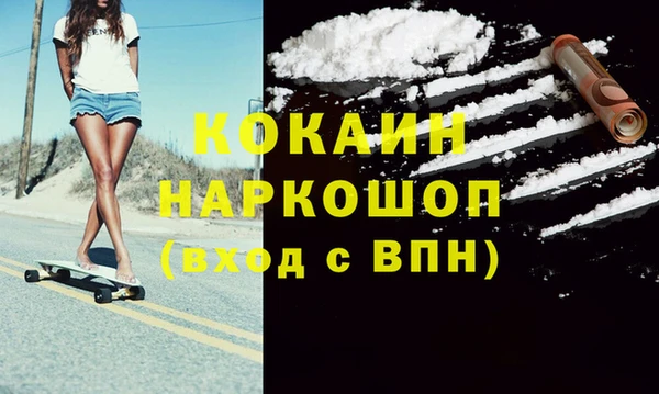 стаф Дмитровск