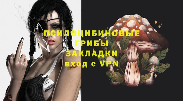 стаф Дмитровск