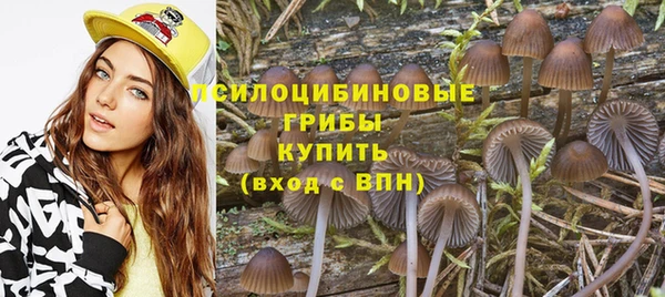 мяу мяу мука Дмитриев