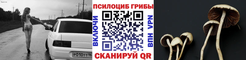 Купить закладки  Николаевск  Псилоцибиновые грибы ЛСД 
