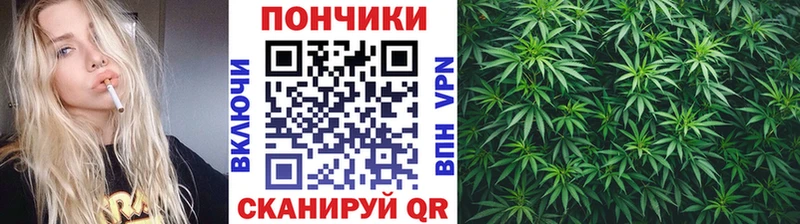 Бошки Шишки план  Купить где  Николаевск 